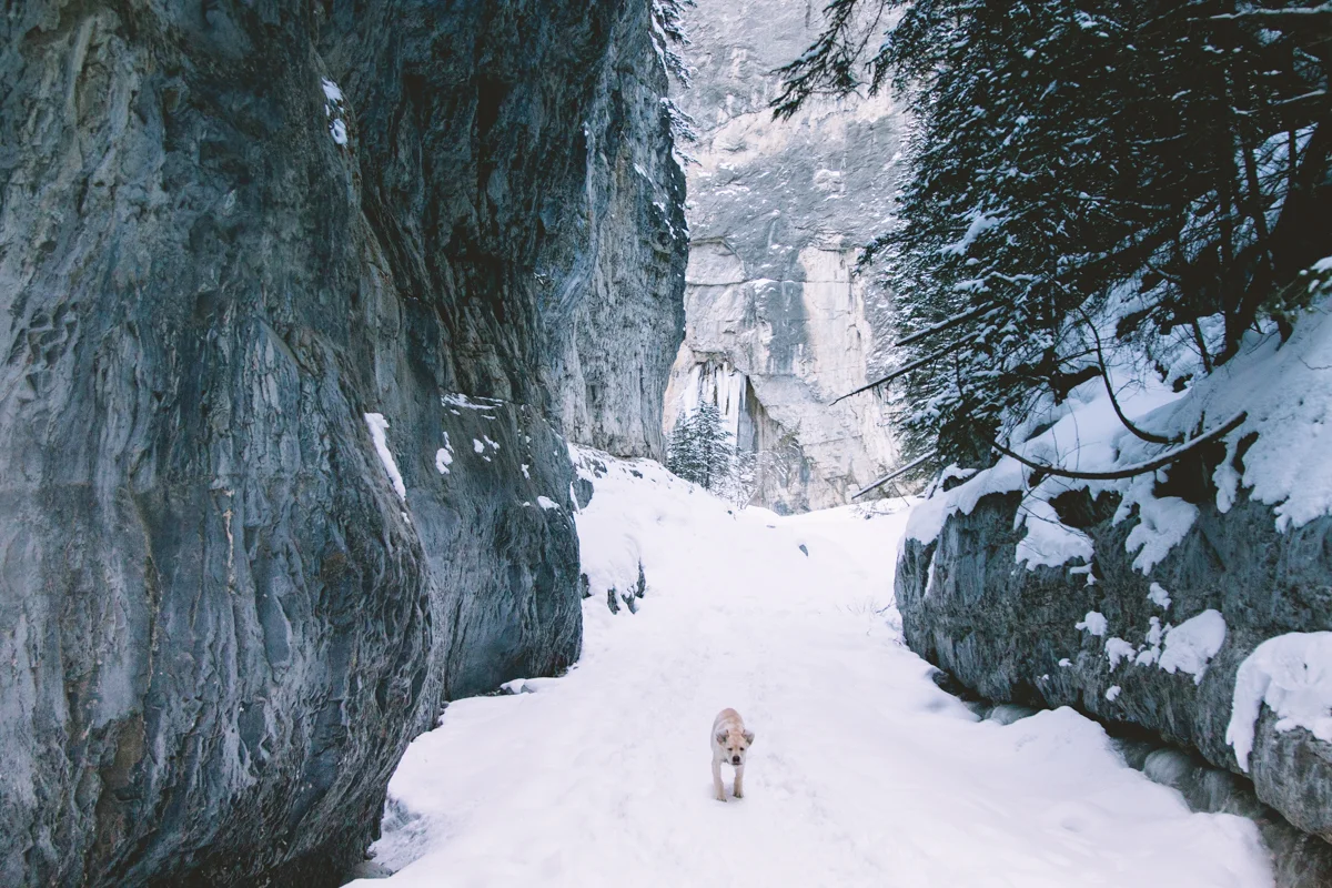 destinationweddingphotographer39