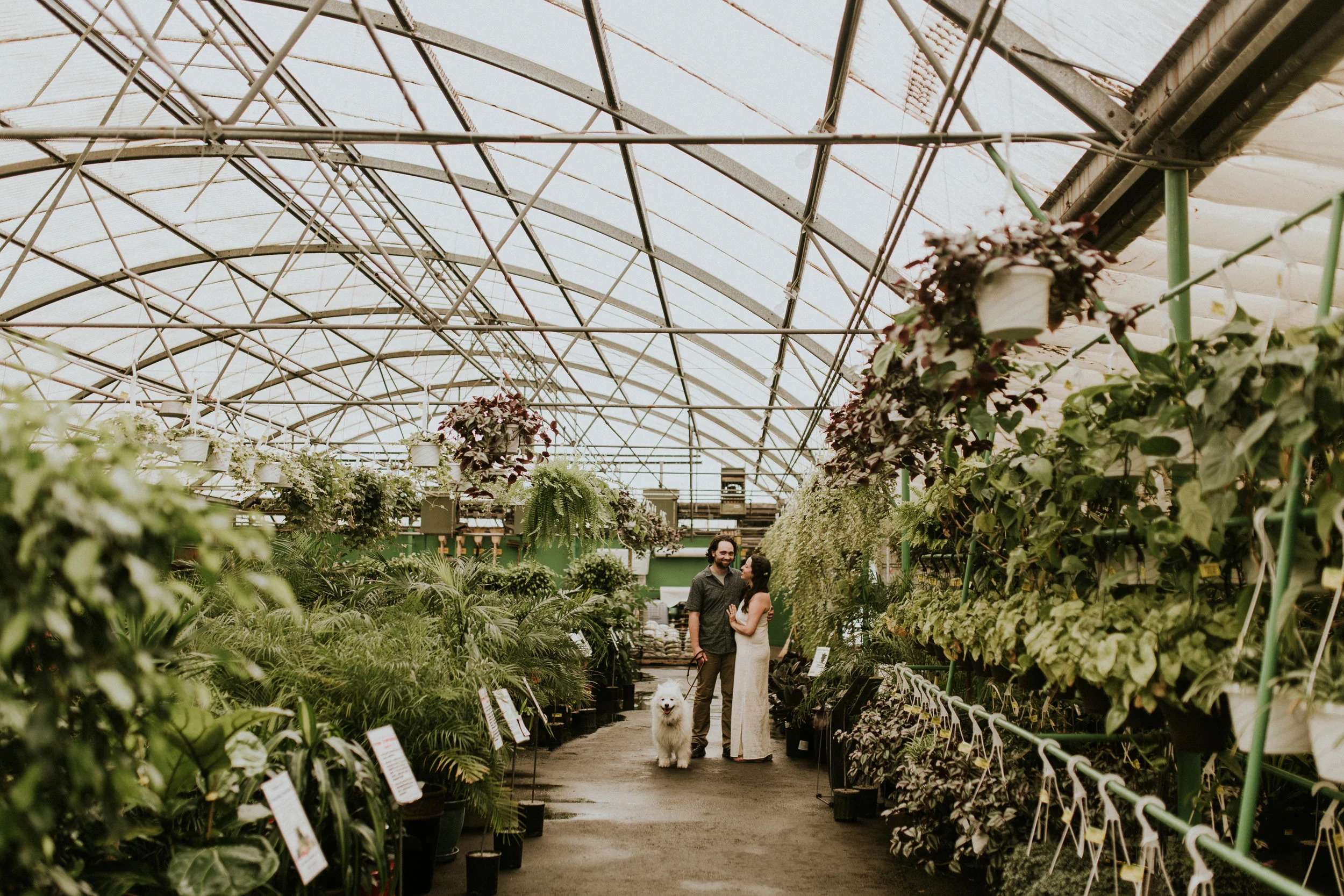 20000101-calgarygreenhouseengagementsession-Traci and Travis-0004.jpg