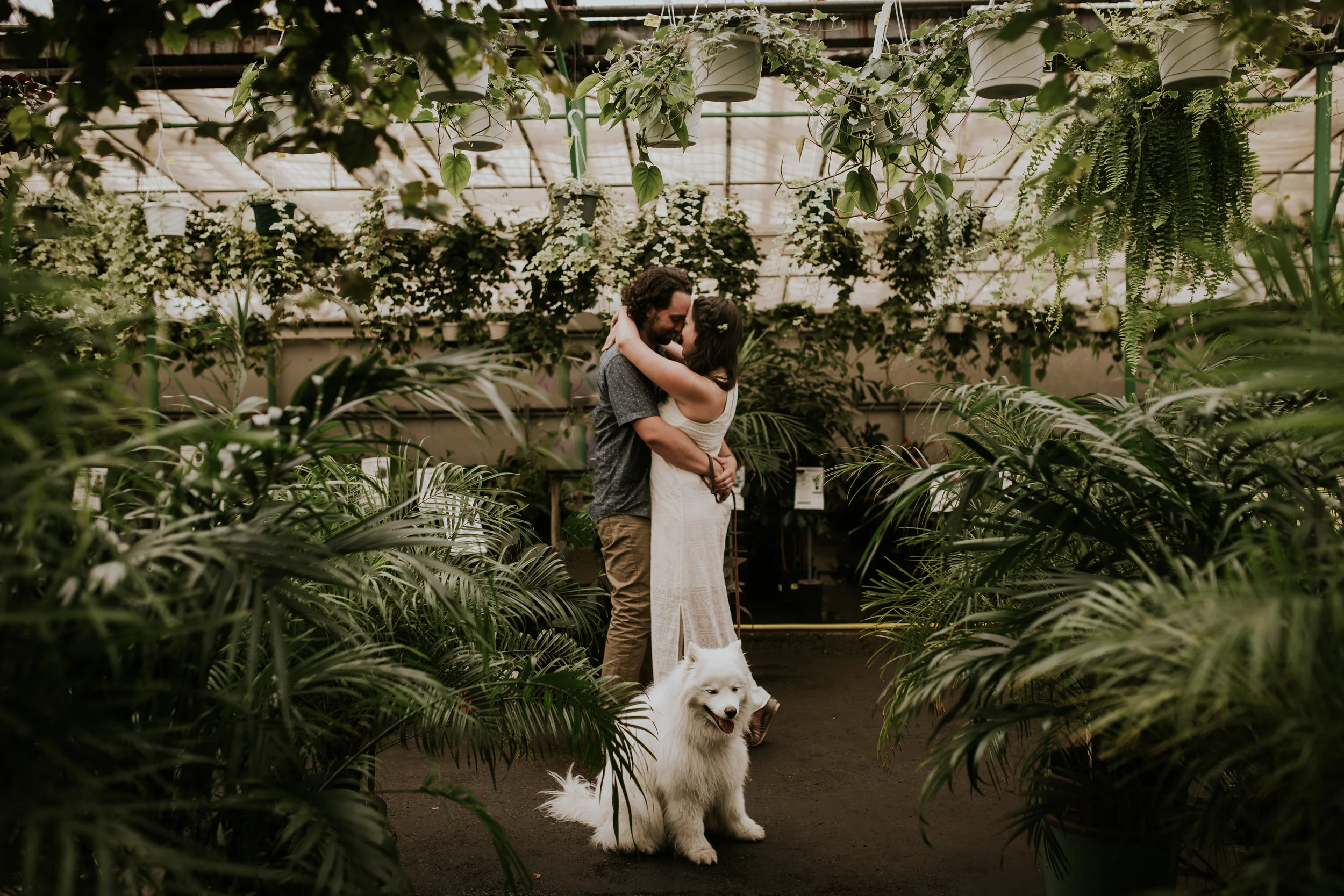20000101-calgarygreenhouseengagementsession-Traci and Travis-0039.jpg