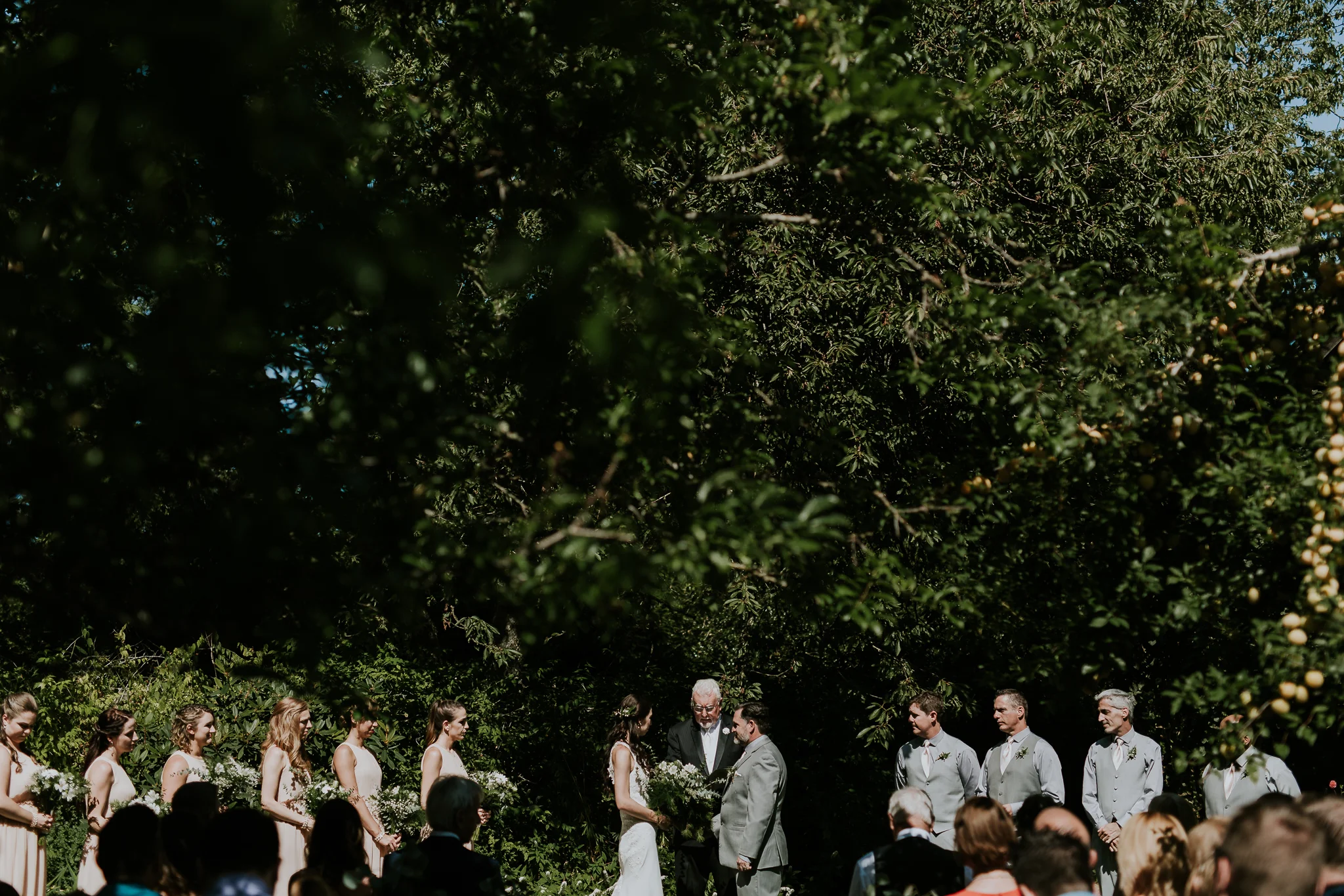 Wide shot of wedding ceremony surrounded by trees at vineyard wedding on Vancouver Island