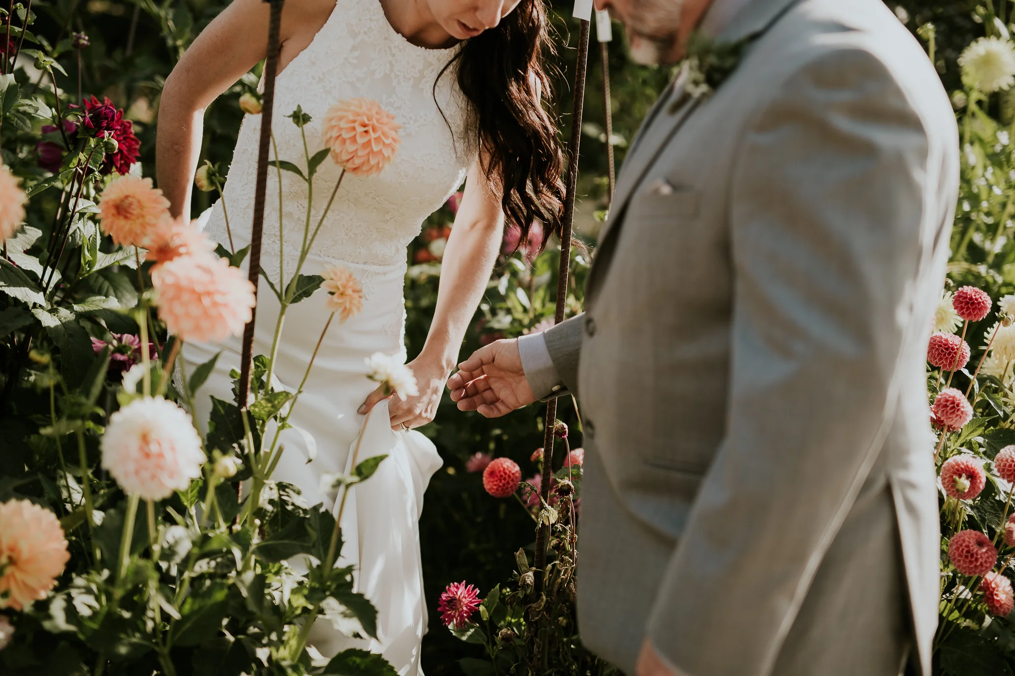 Groom helping bride out of dahlias near greenhouse on Vancouver Island wedding venue