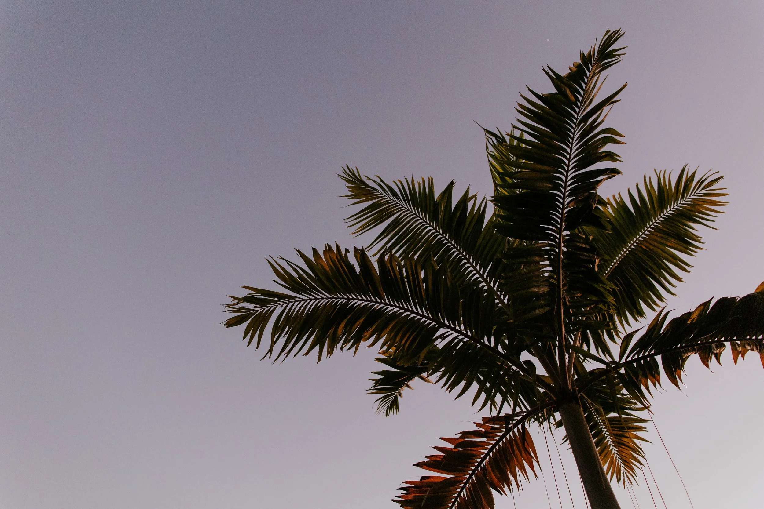 sayulita-wedding-photographer-0836.jpg