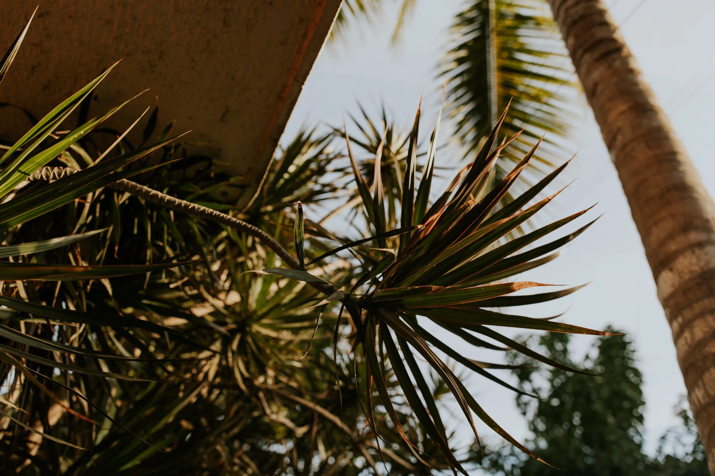 sayulita-wedding-photographer-1103.jpg
