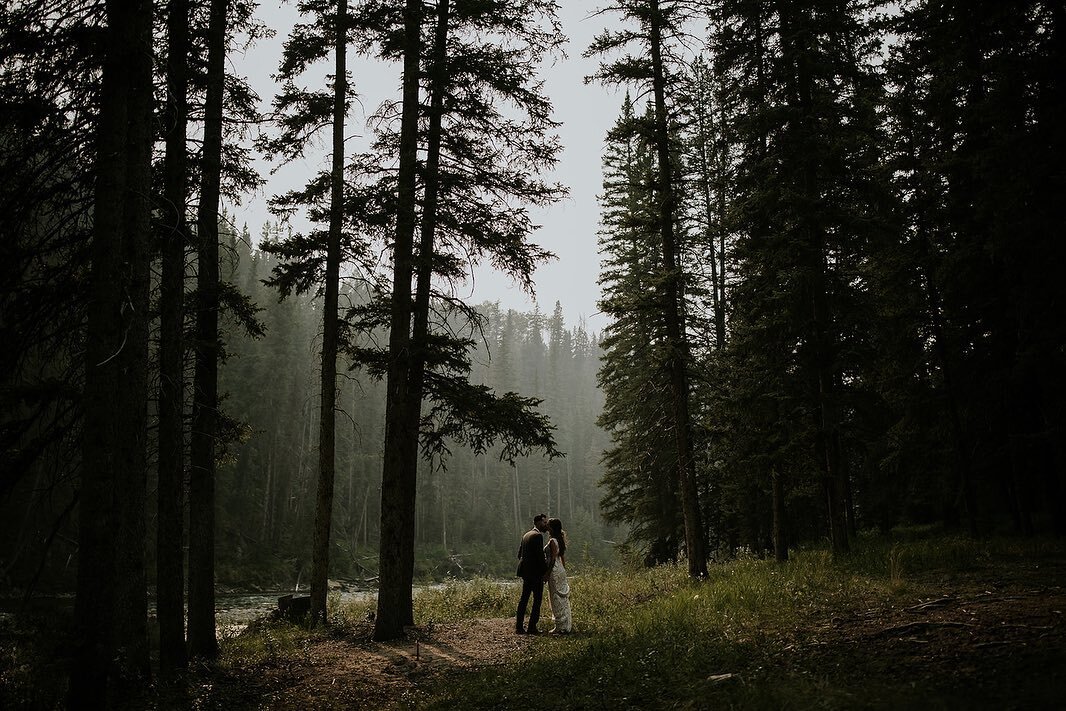 Cochrane is a pretty great place for a wedding! Even smoke and wasp stings can&rsquo;t ruin the beauty. 🌿🐝😍
.
.
.
.
.
.
#cochraneweddingphotographer #cochranewedding #crossingatghostriver #yycweddingphotographer #calgaryweddingphotographer