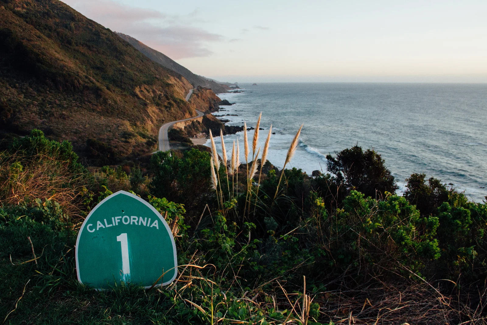 mattcbauer-cali1-web.jpg