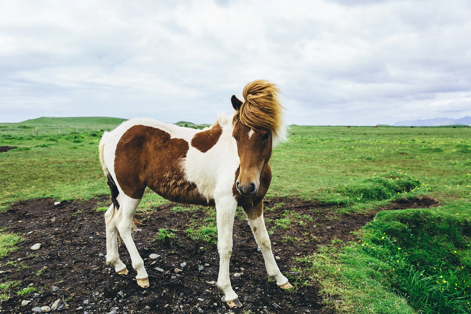 mattcbauer-iceland-30.jpg