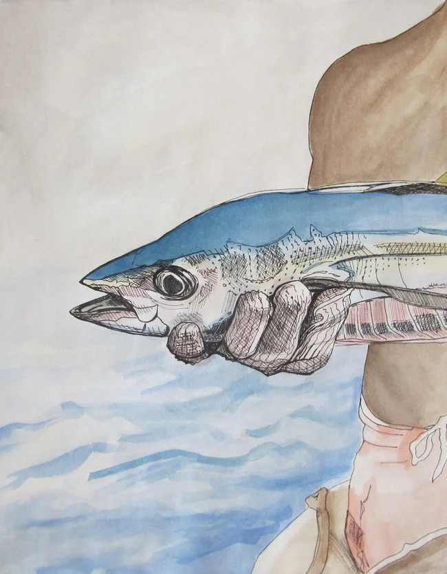 Drawn from a photograph in a National Geographic Magazine (not sure which issue) in 2011 while anchored in front of Shroud Cay in the Bahamas.