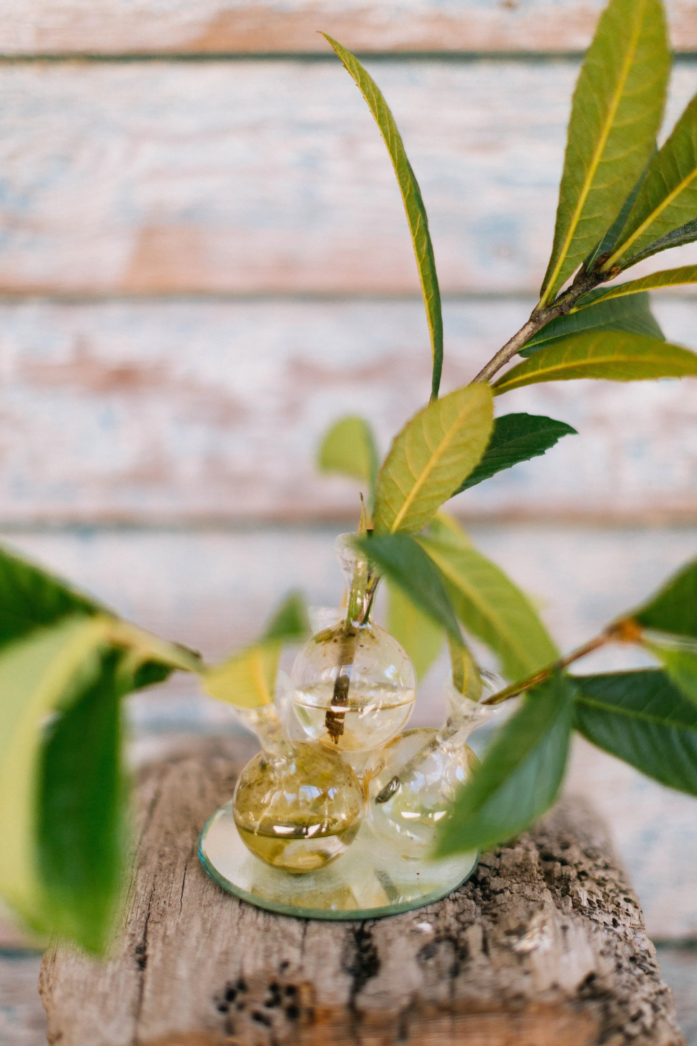 christinakarstphotography_theribaultclubwedding_groves-113.jpg
