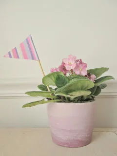 ombre+flowers+5.jpg