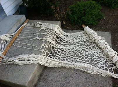 Transient