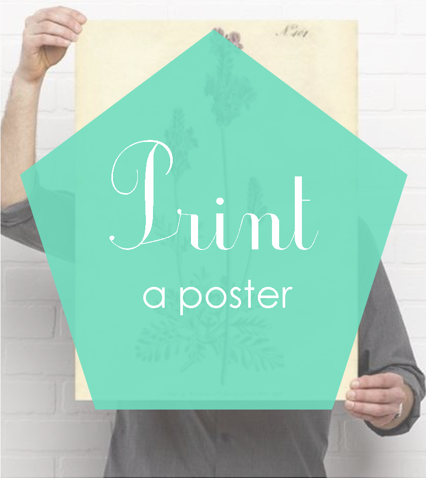 Print.png