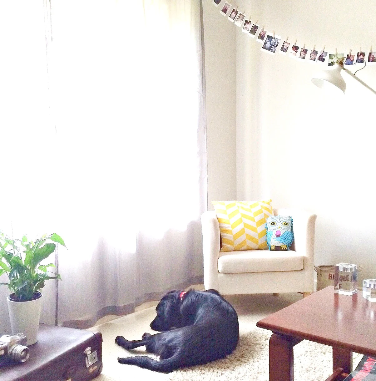 Celestes's living room3 DONE.jpg