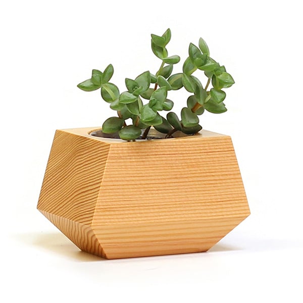 Wooden Planter