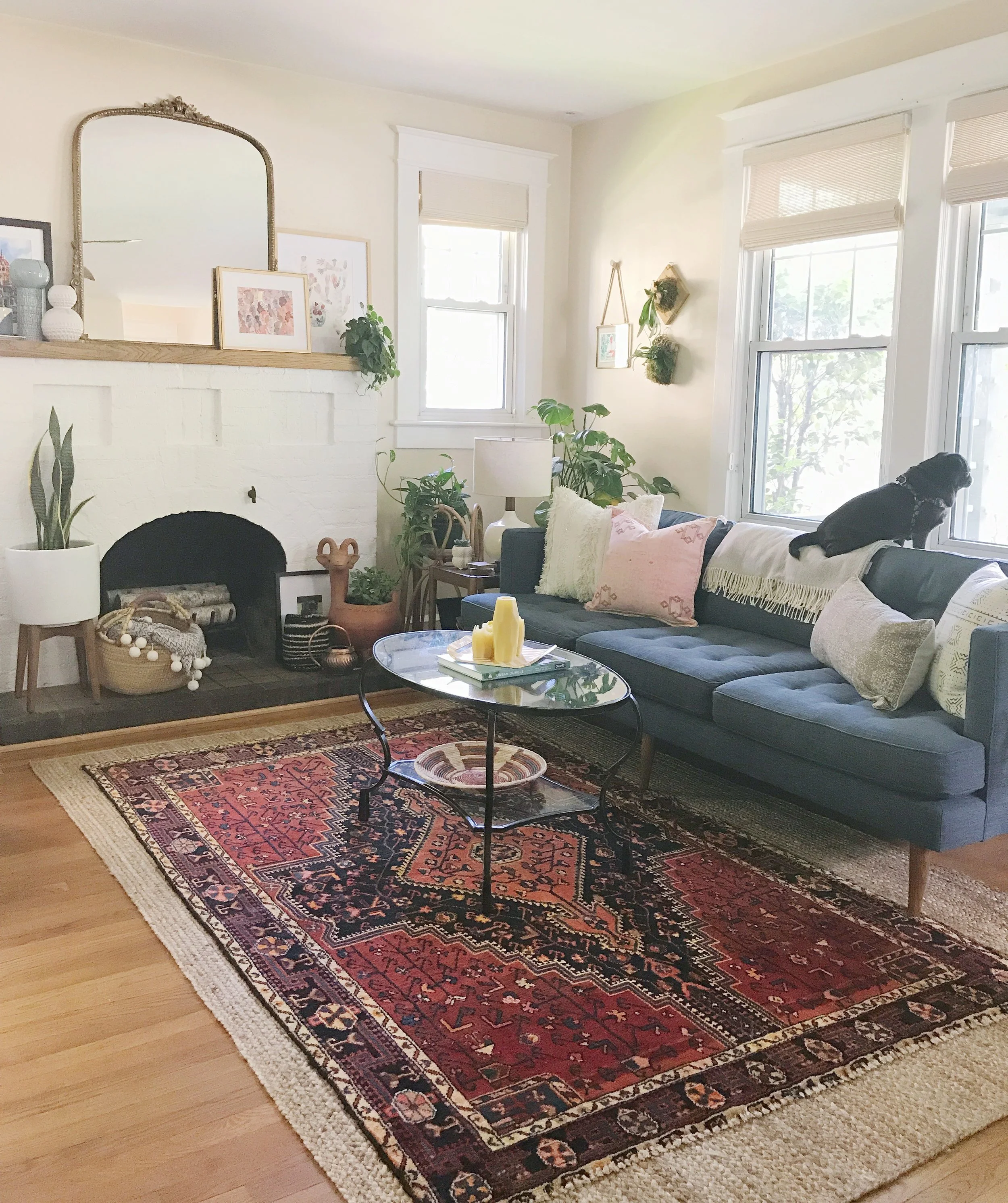 Photo May 29, 7 23 30 PM.jpg