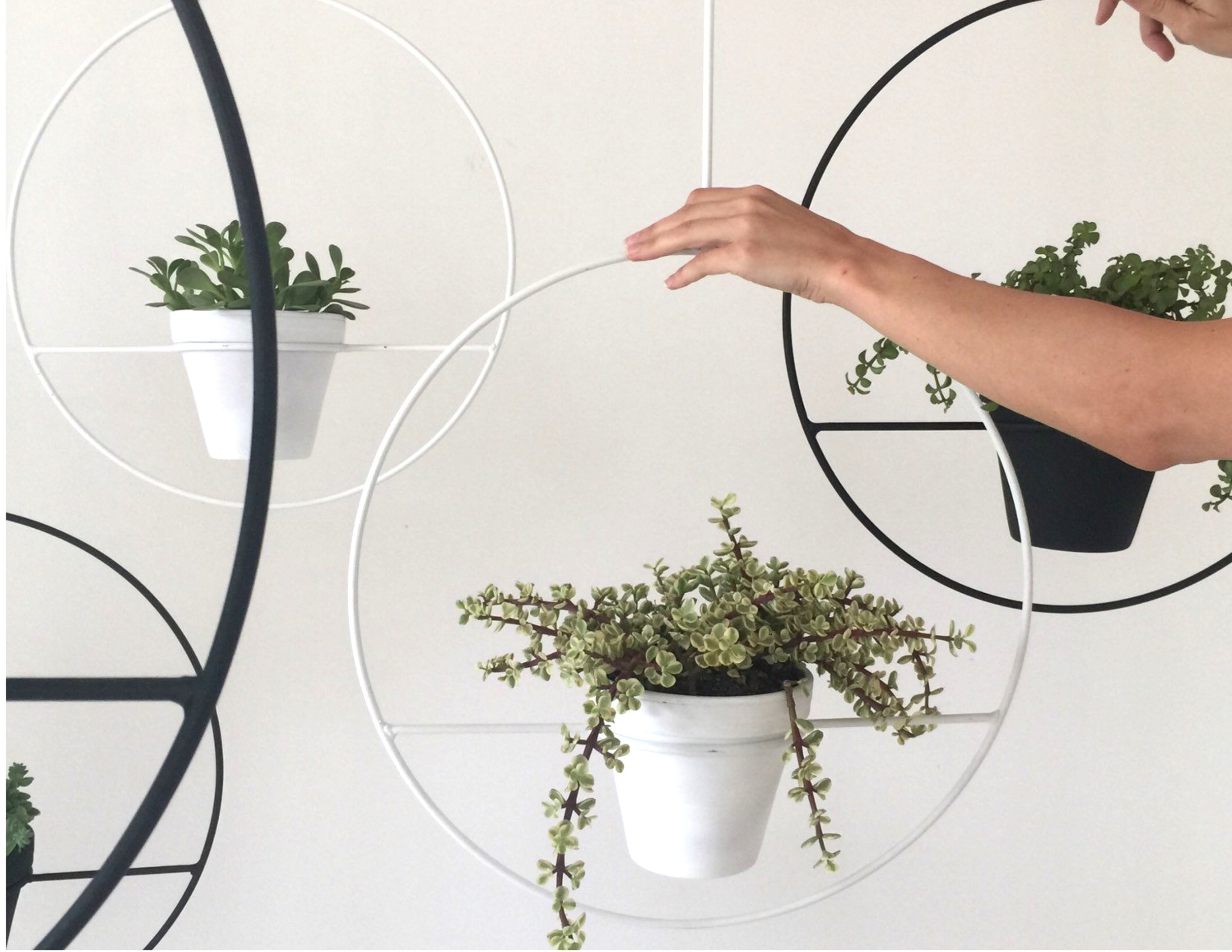 No.5: Hanging Planter