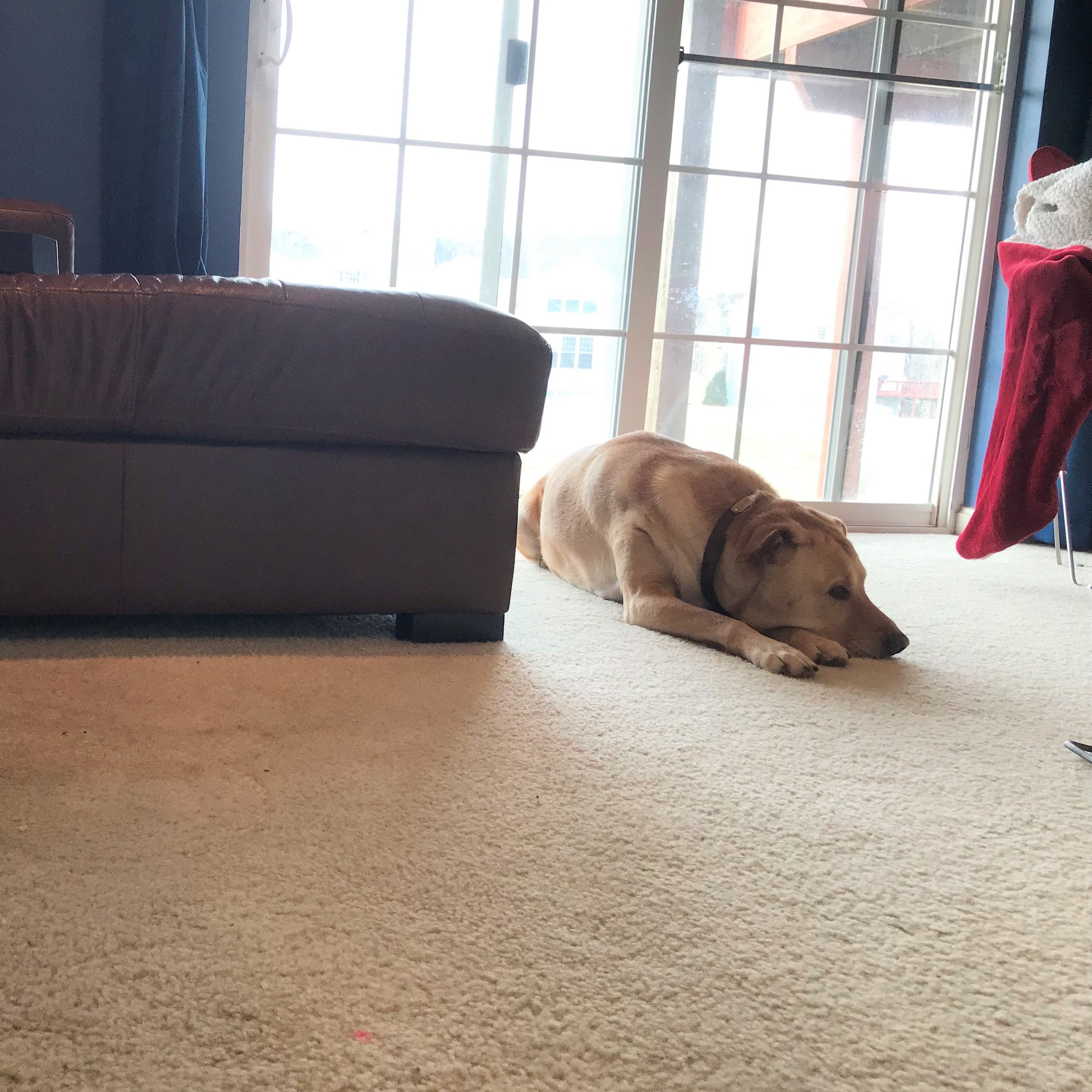blob