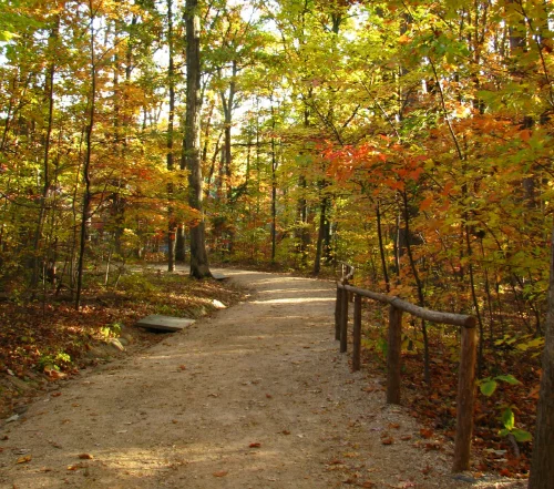 path.jpg