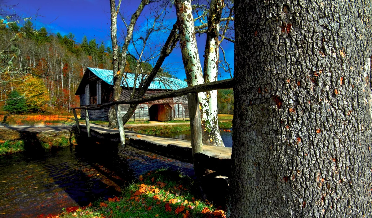 Bill Gile.Path-3.jpg