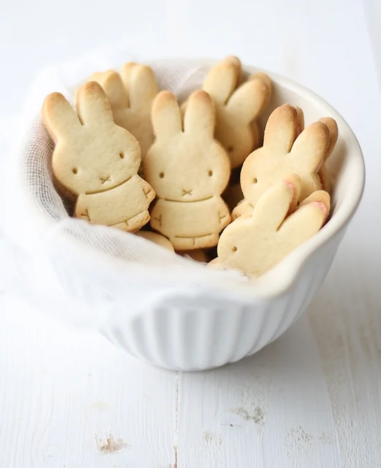 Uitsteekvormpjes van Nijntje