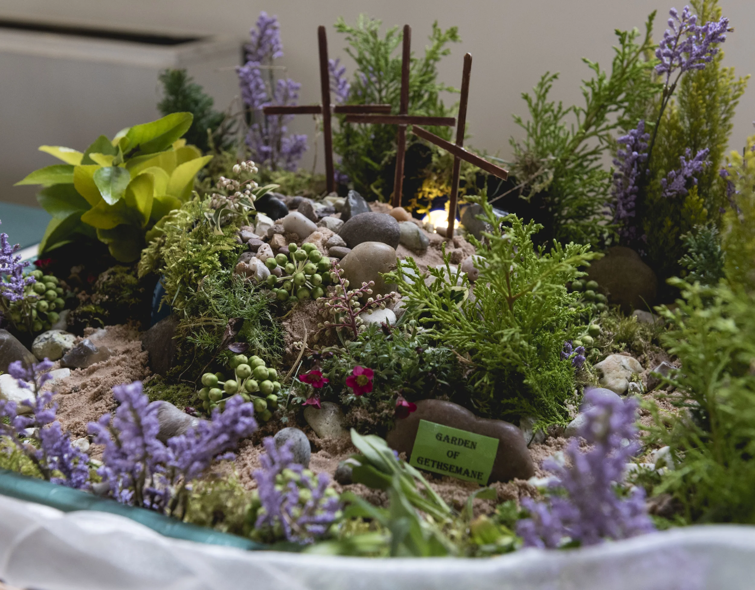 DSC_2804 JPEG.jpg