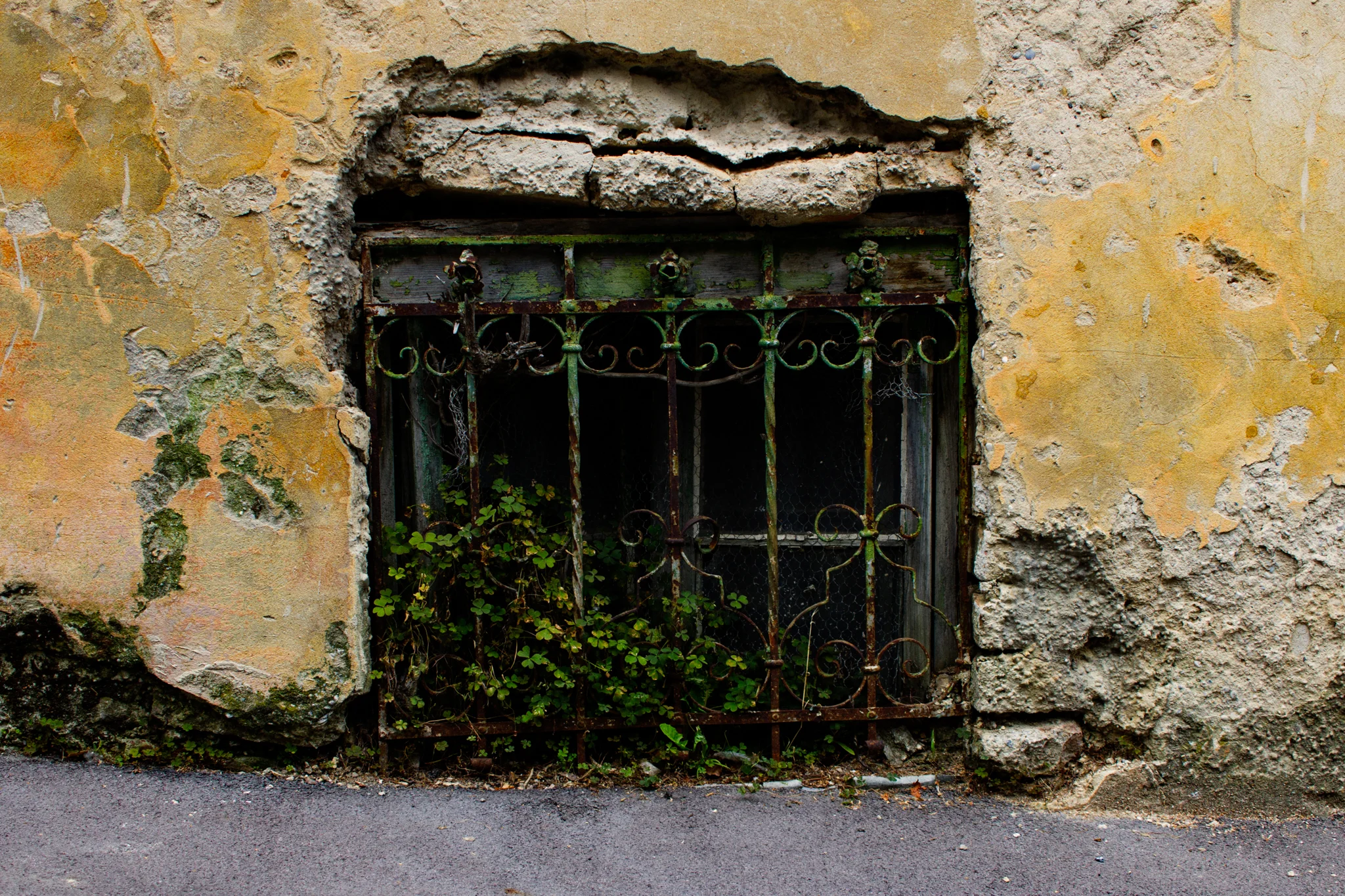 Visiting Vienna's Vineyards on the Fourth of July 7