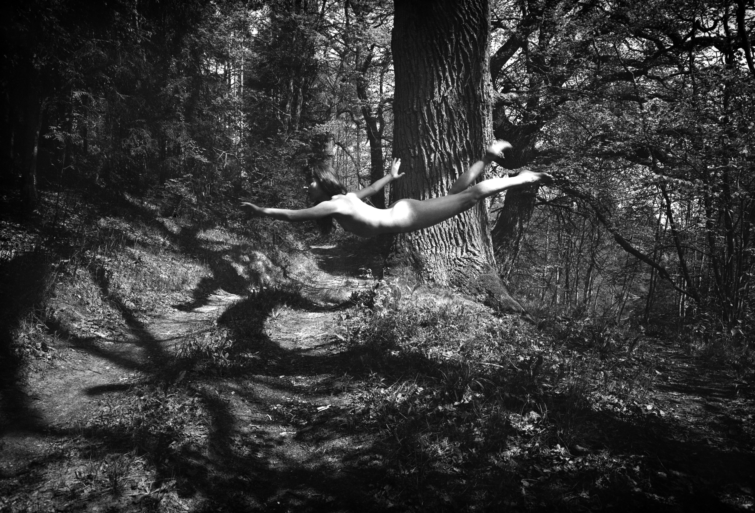 The Flight No. 14 | 1992