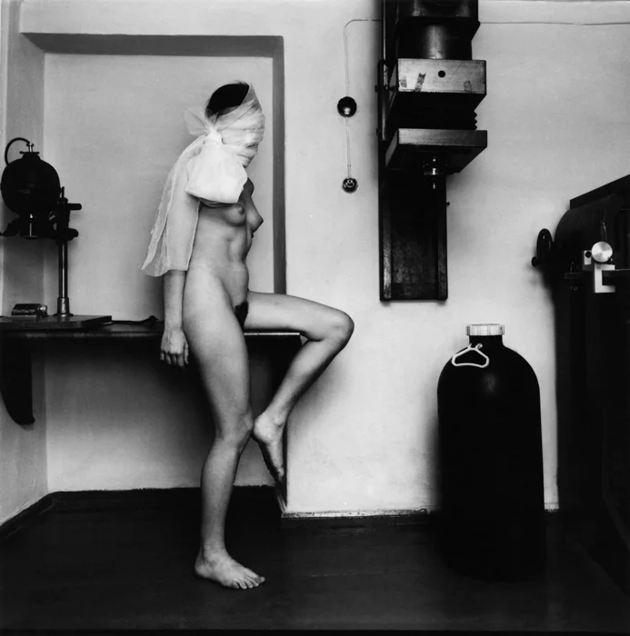 Laboratory girl | 1985