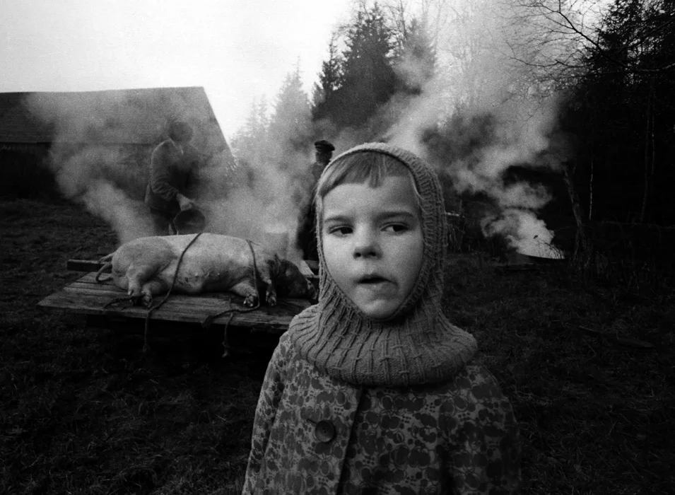 The Pig Funeral | 1968