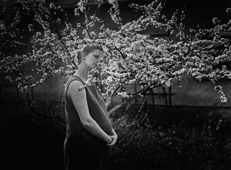 Florescence | 1970