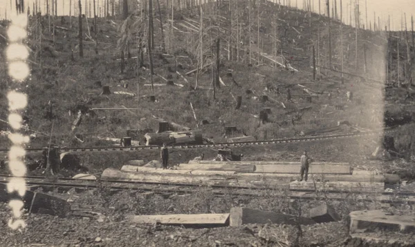 Without the shade of an ancient canopy, these two workers bake while shaping hand hewn ties. 