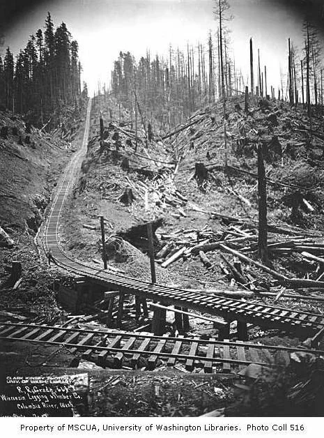 Photograph by Kinsey Brothers (courtesy University Libraries Digital Collections )