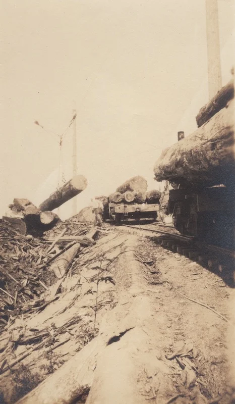 Photo E. A. Persson, n.d.