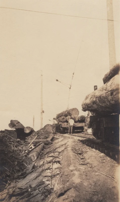 Photo E. A. Persson, n.d.