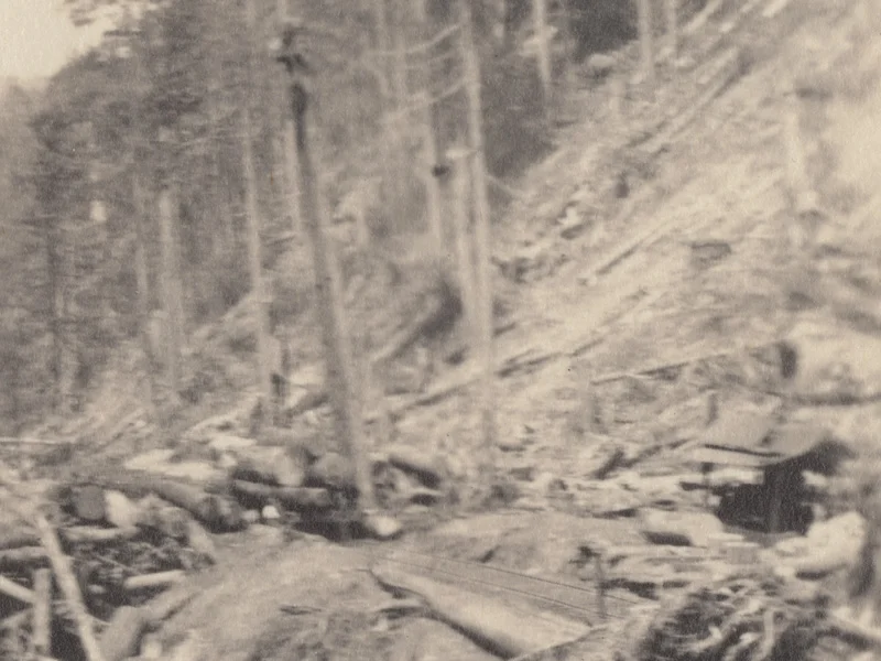 Image 1 (detail)