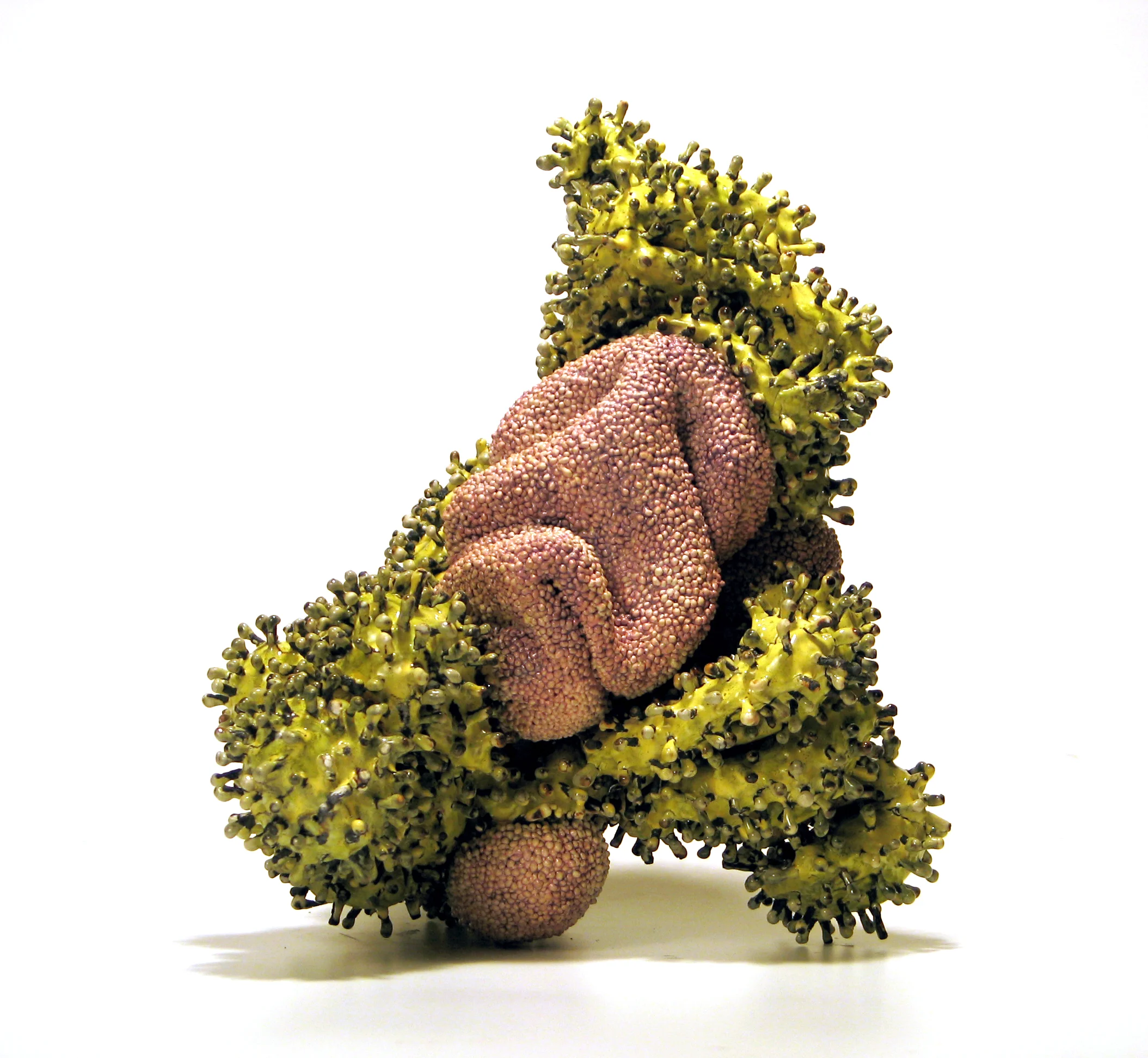 thyme
