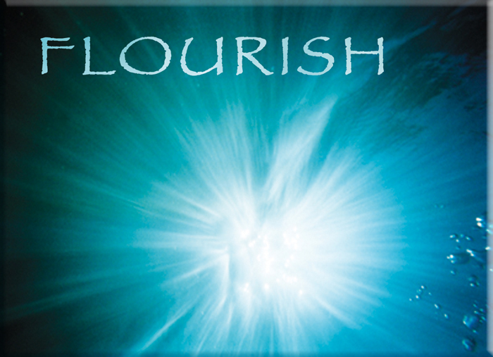 Flourish Card from the Ask the Light Miracle cards. Underwater Photography from Barton Springs in Austin Texas. We like to use the cards when watching Oprha on Super Soul Sunday!