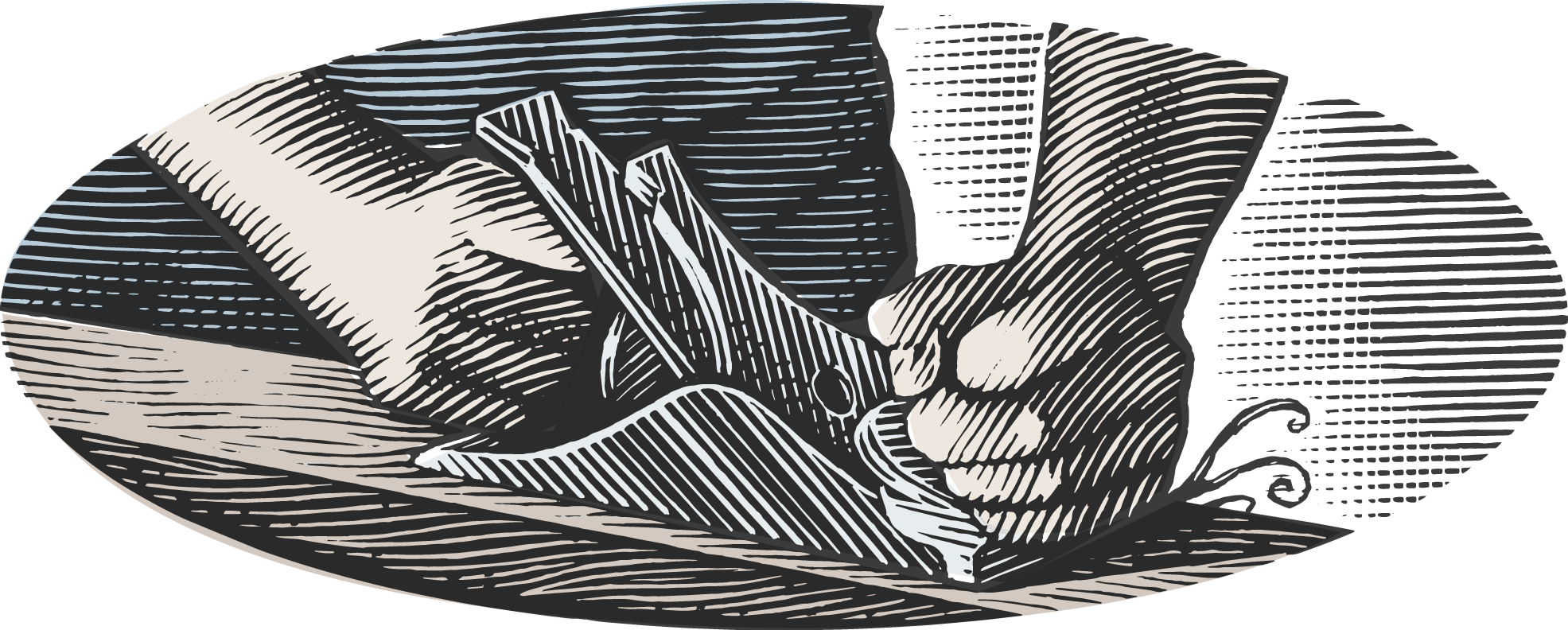 WSS-CraftsmanSmallColor-01.png