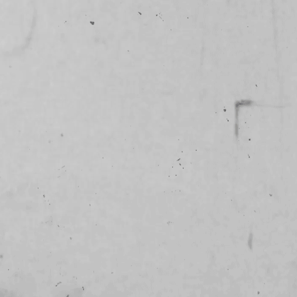 VIDEO | SERGIO LOZANO