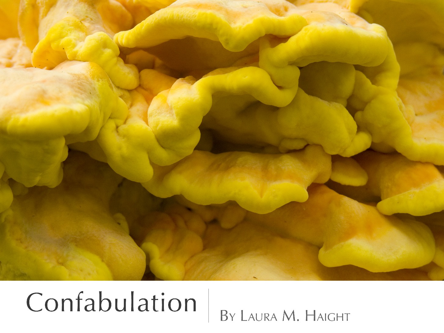 ConfabulationCover.jpg
