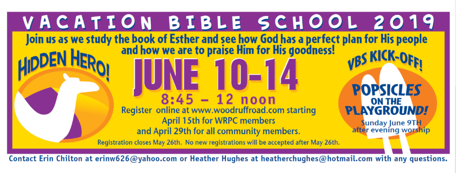 VBS2019.png