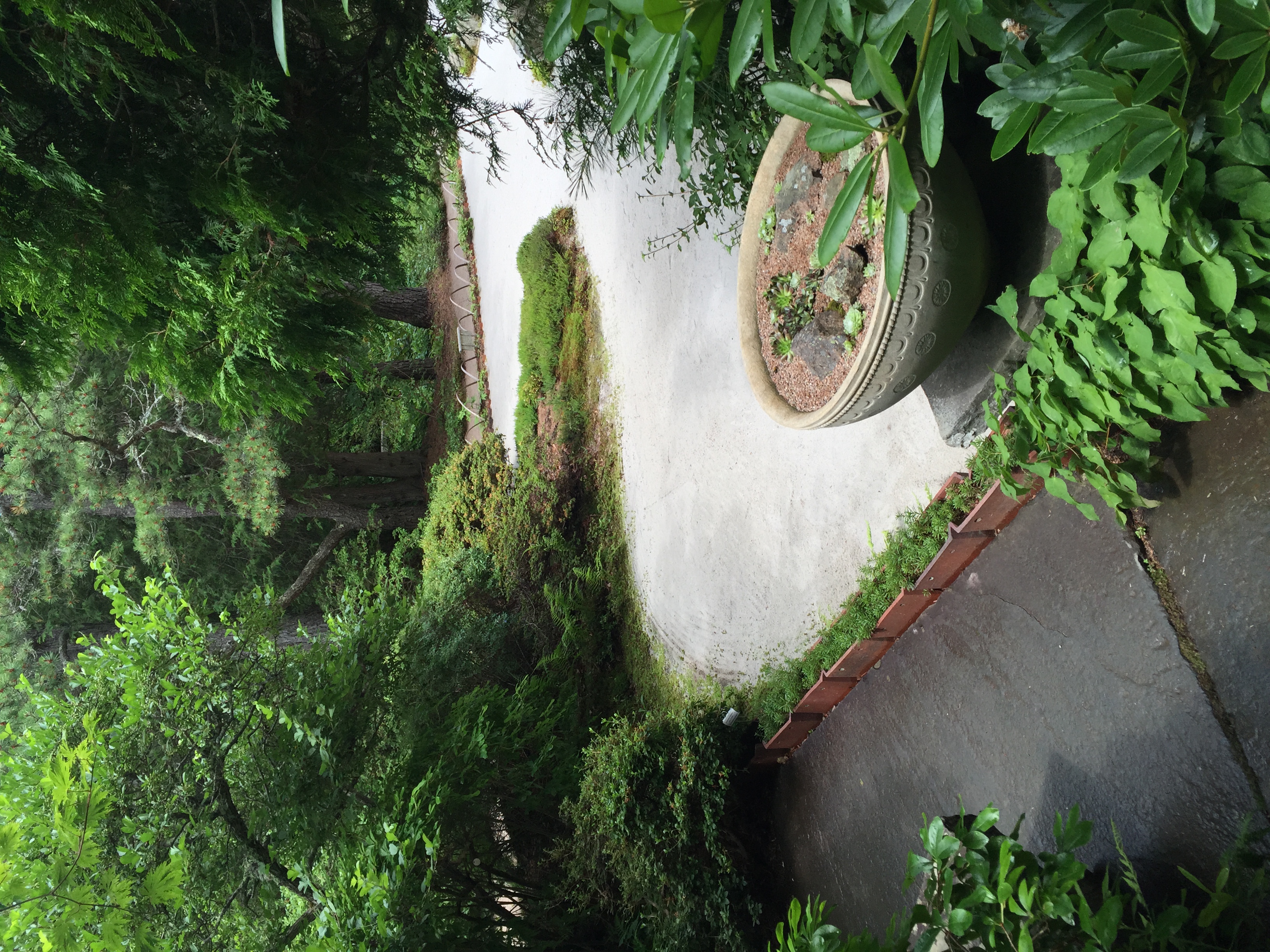 The edge of the stone garden at the Asticou Azalea Garden on MDI.