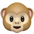 monkey-face_1f435.png