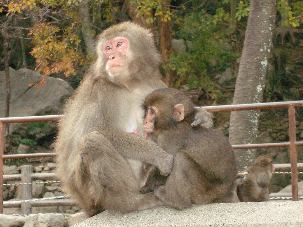 1280px-Takasaki_mon.jpg