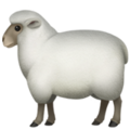 sheep_1f411.png
