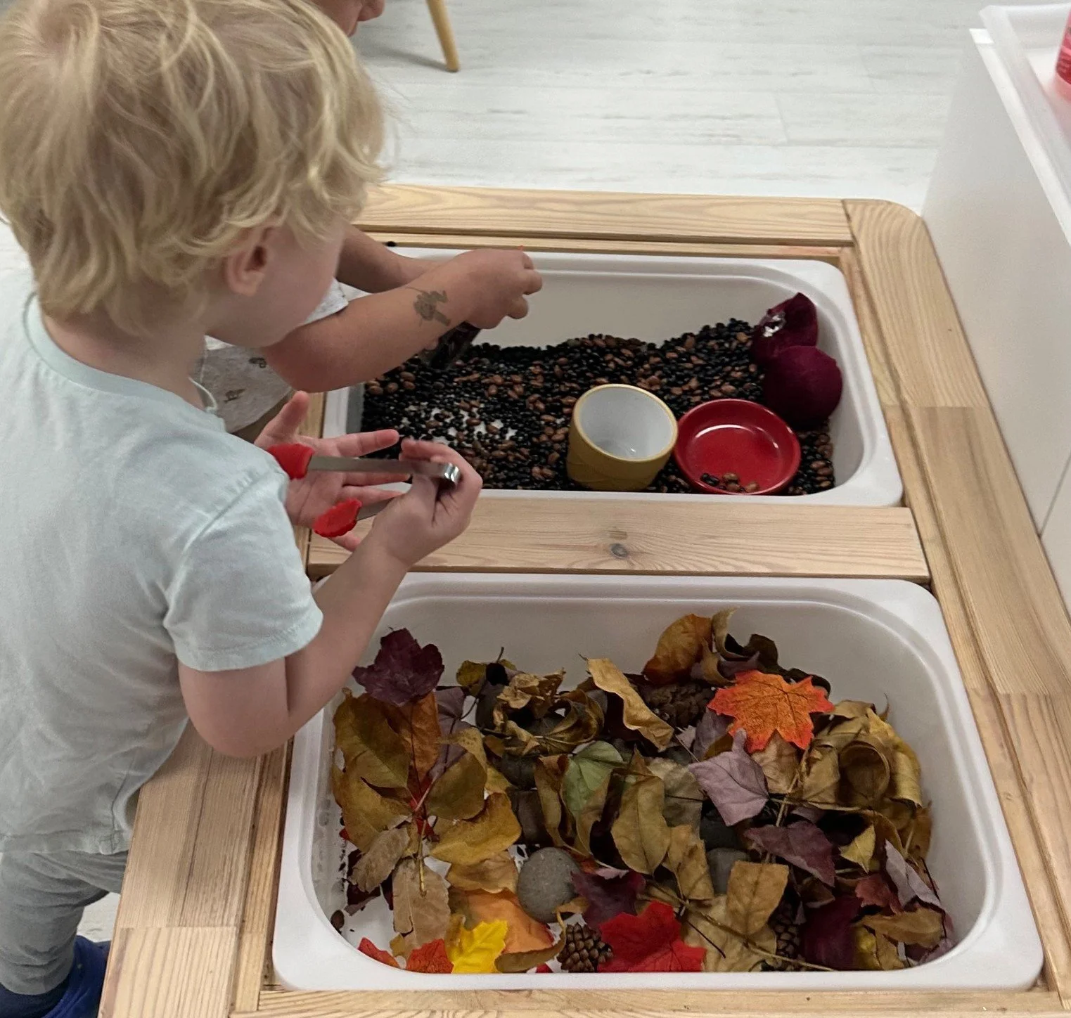 TODDLER_1.jpeg