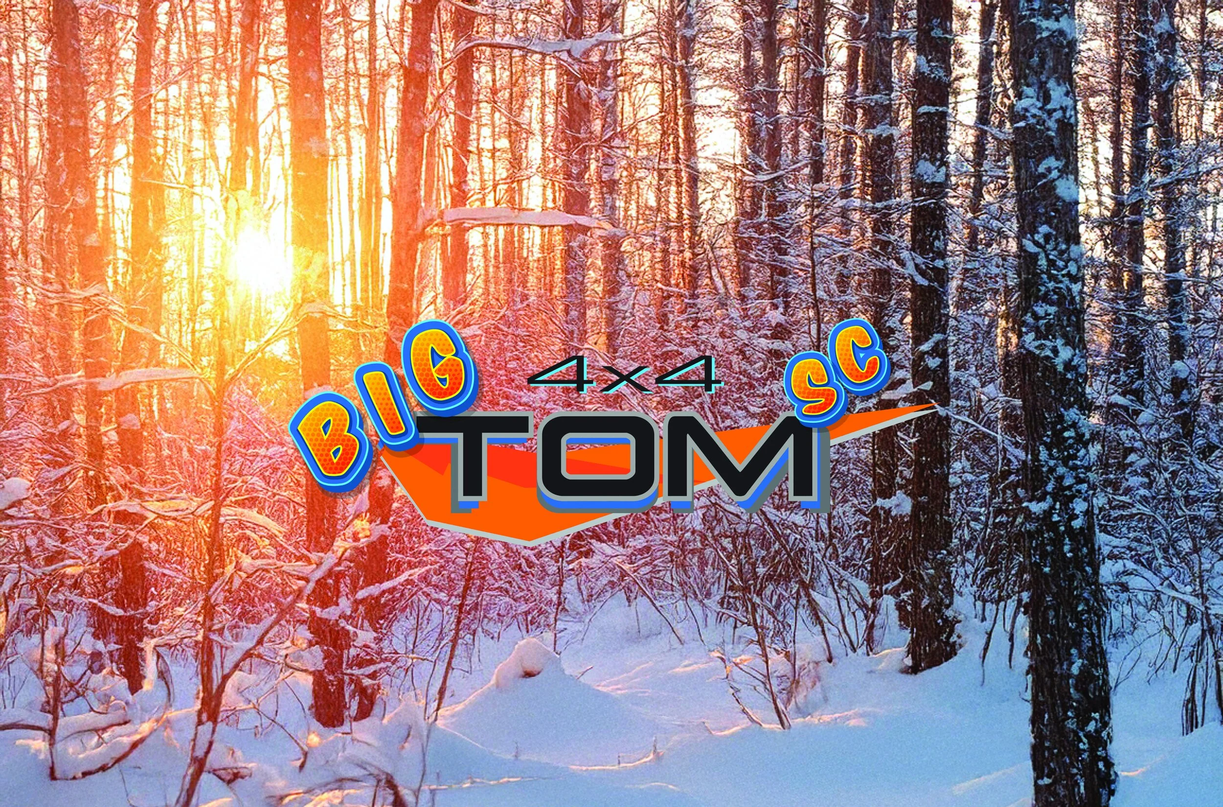 big tom header.jpg