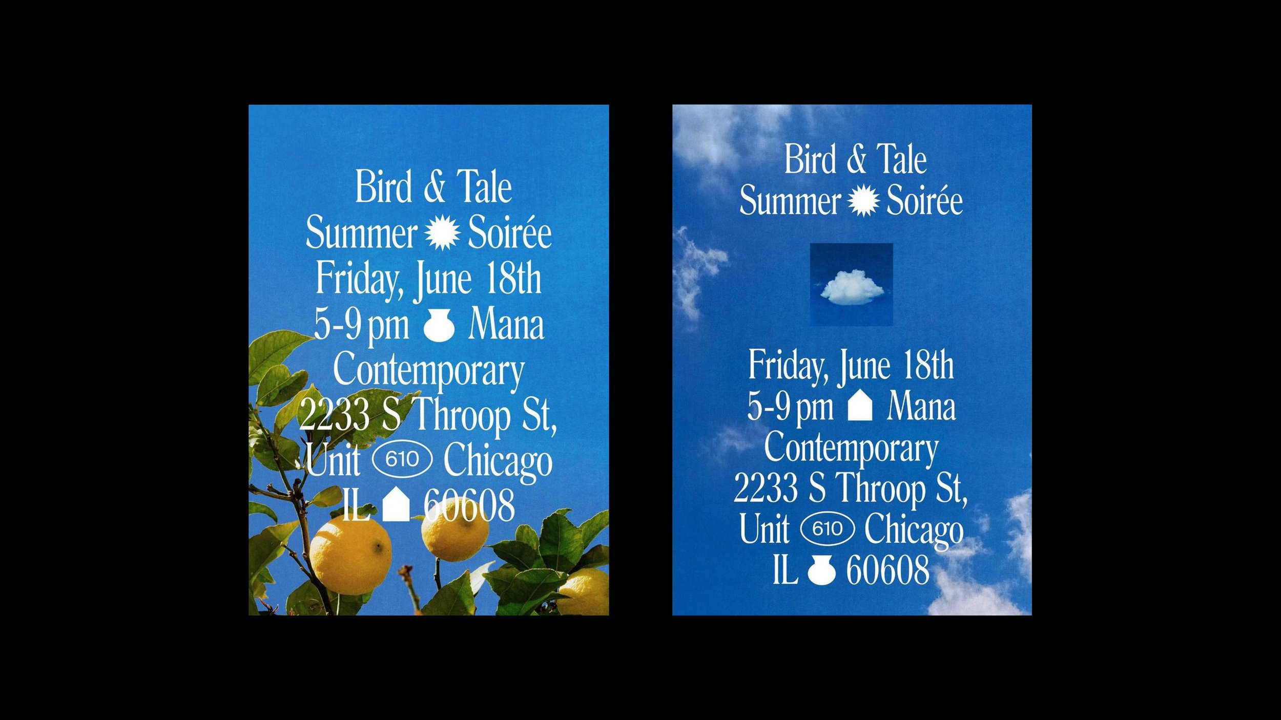  Bird &amp; Tale Summer Party (Event Branding, Posters, Printed Materials) 