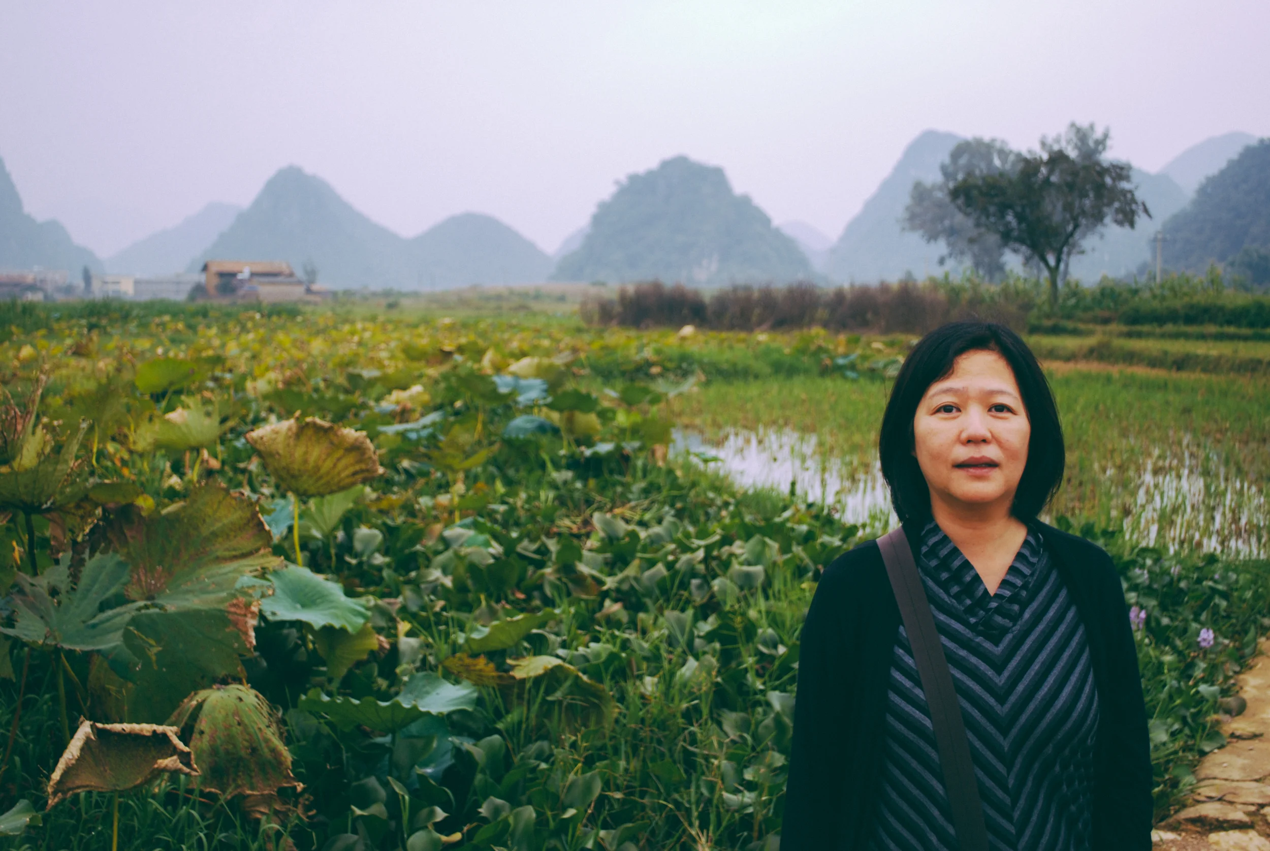 Yunnan Batch A-14.jpg