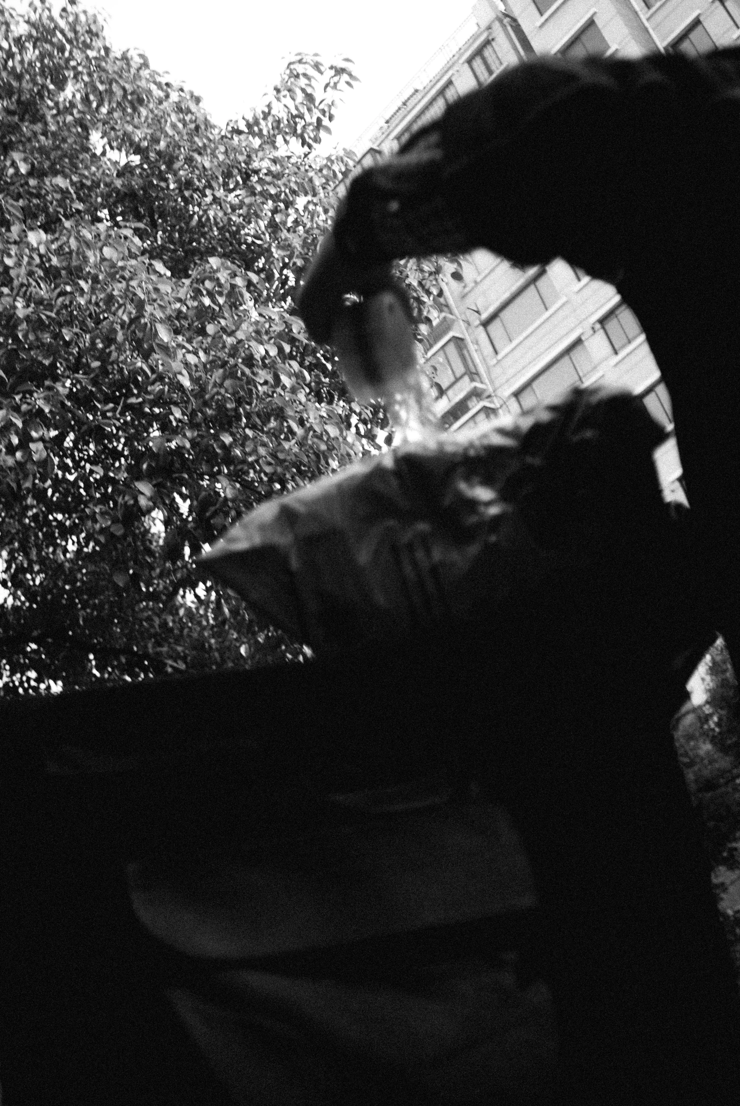 untitled-17.jpg