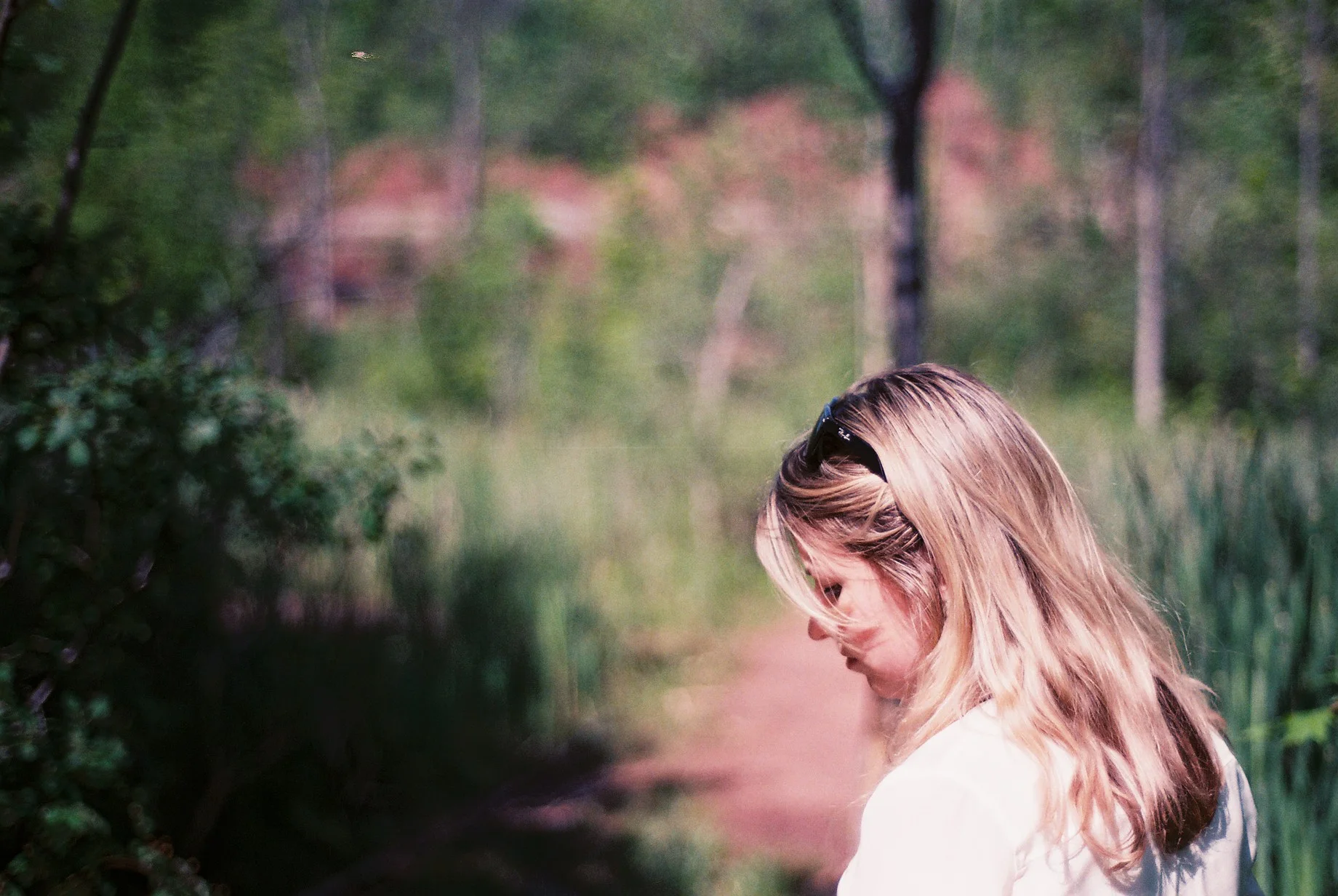 4143_022.JPG